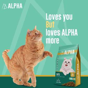 اكل قطط دراى فوود- ALPHA ADULT CAT