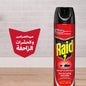 RAID ROACH INSECT SPRAY/300ML