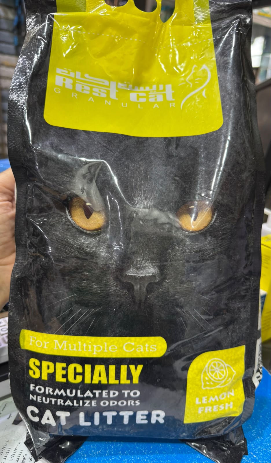 رمل قطط REST CAT BLACK - EGYPT