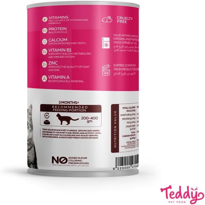 طعام قطط رطب تيدي سلمون (Teddy Cat Wet Food Salmon 400g)