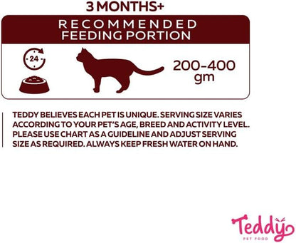 طعام قطط رطب تيدي سلمون (Teddy Cat Wet Food Salmon 400g)