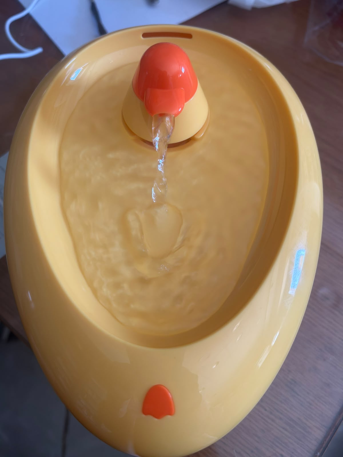 نافورة شكل بطة بالكهرباء  ** كيان